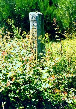 Cruceiro en Dúas Igrexas